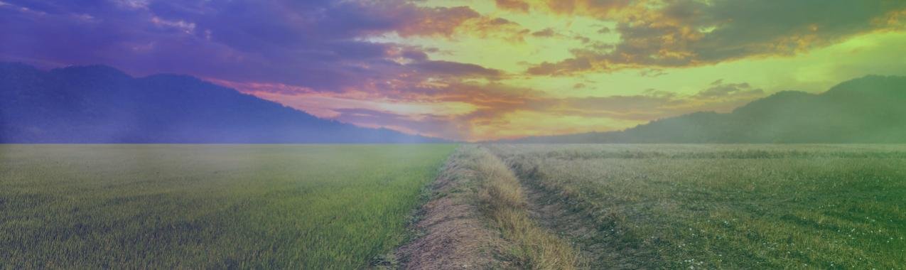 Acclimate - Accelerating Climate Action: Navigating Towards a Low-emissions, Climate-resilient Future